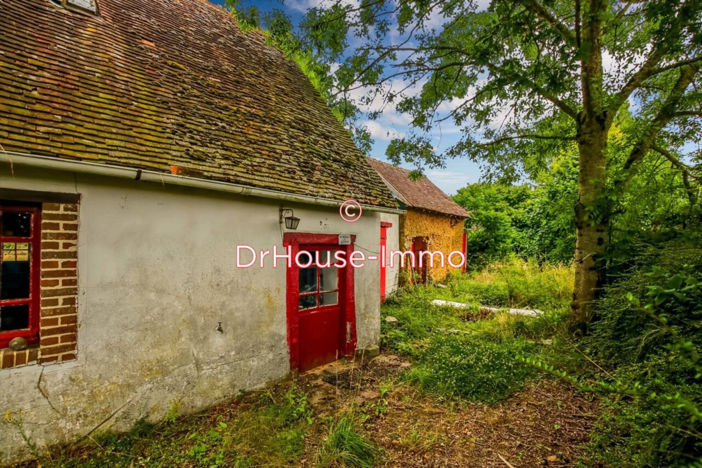 Photo 3 : Vente Maison 2 pièces Luigny 34 m²