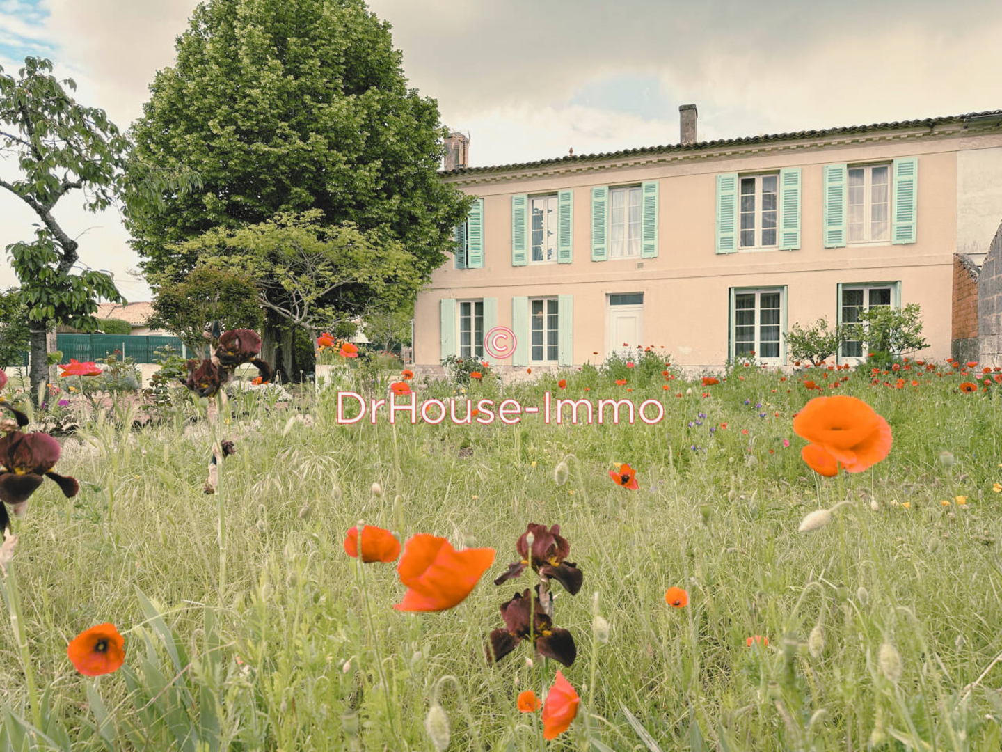 Photo 3 : Vente Maison 6 pièces Berson 155 m²