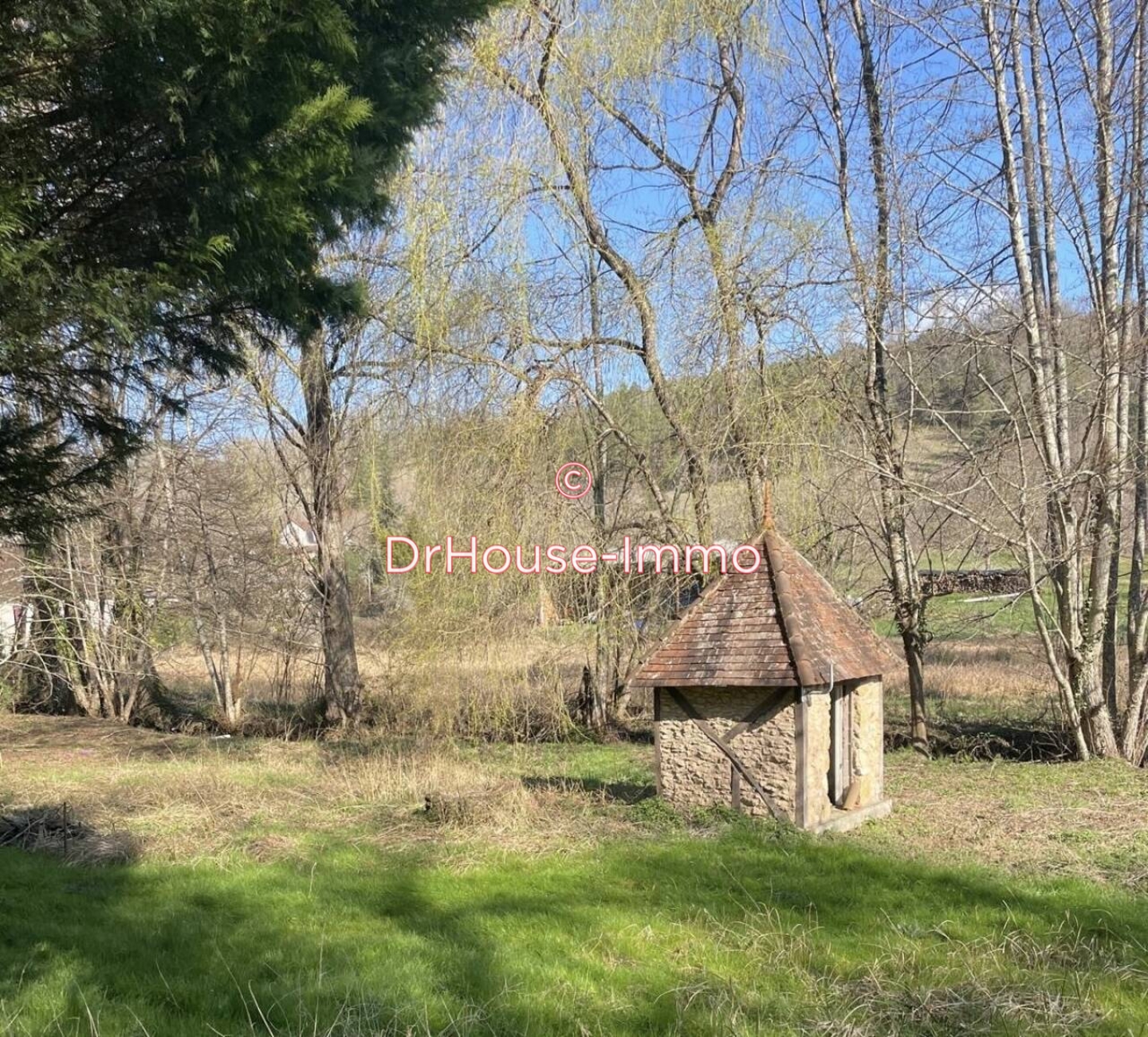 Photo 2 : Vente Terrain Thenon 3319 m²