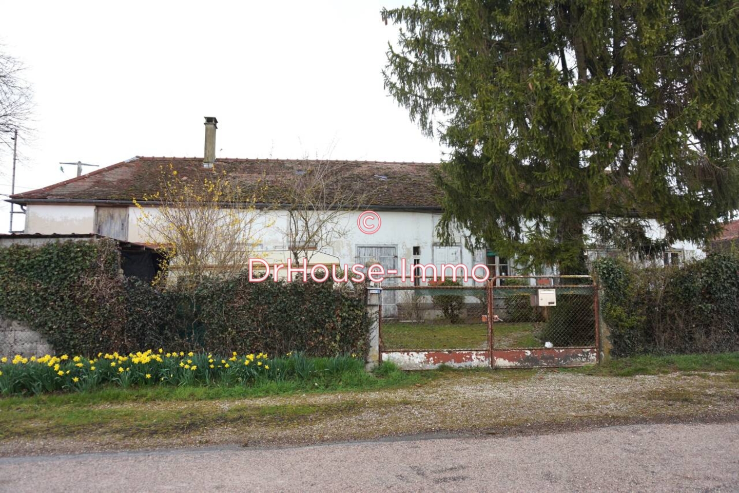 Photo 1 : Vente Maison 5 pièces Villery 170 m²