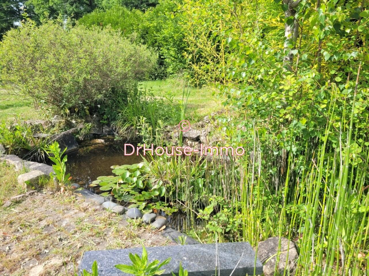Photo 2 : Vente Maison 4 pièces Courtenay 111 m²