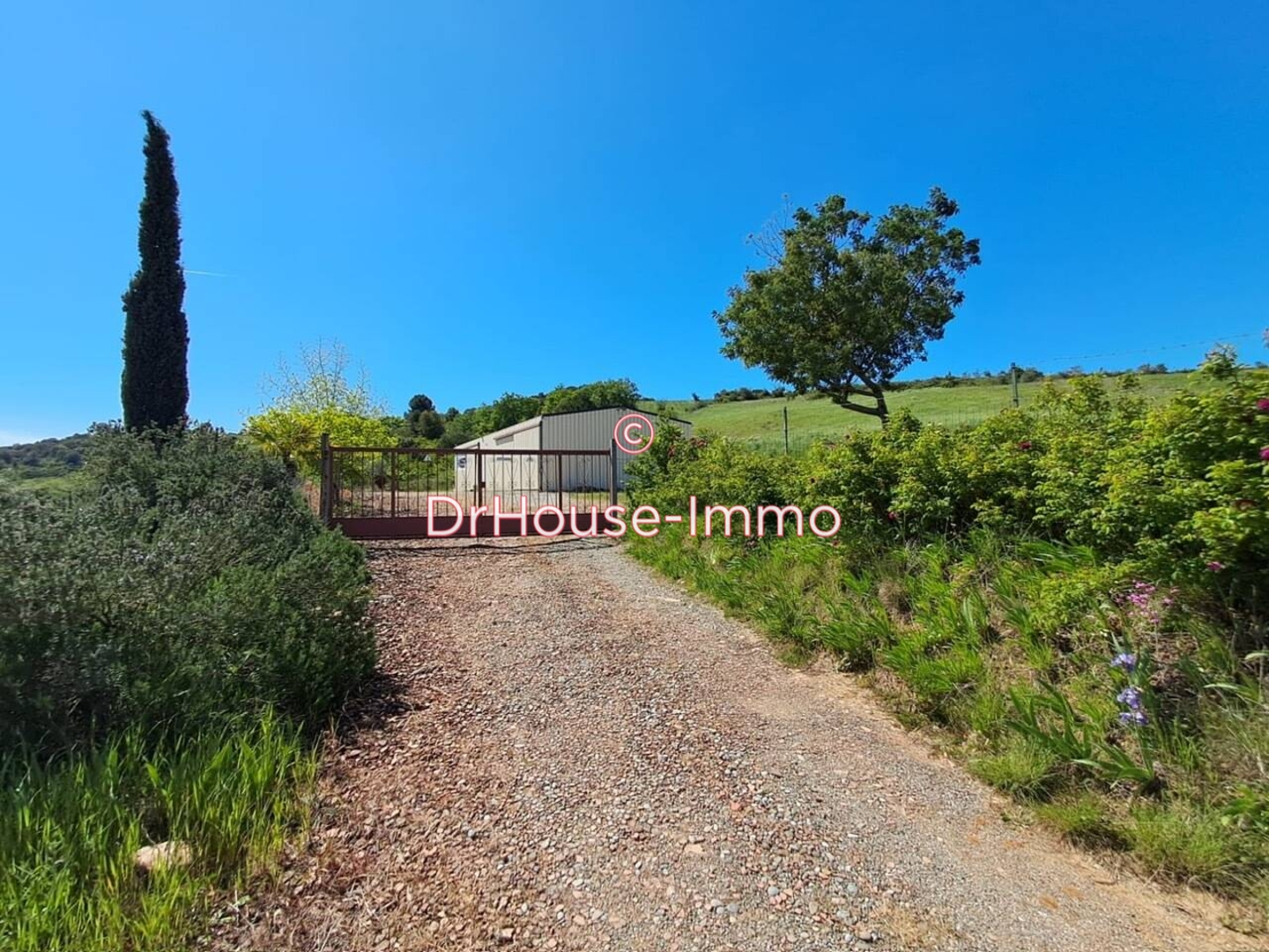 Photo 1 : Vente Entrepôt 2 pièces Rouffiac-d'Aude 241 m²