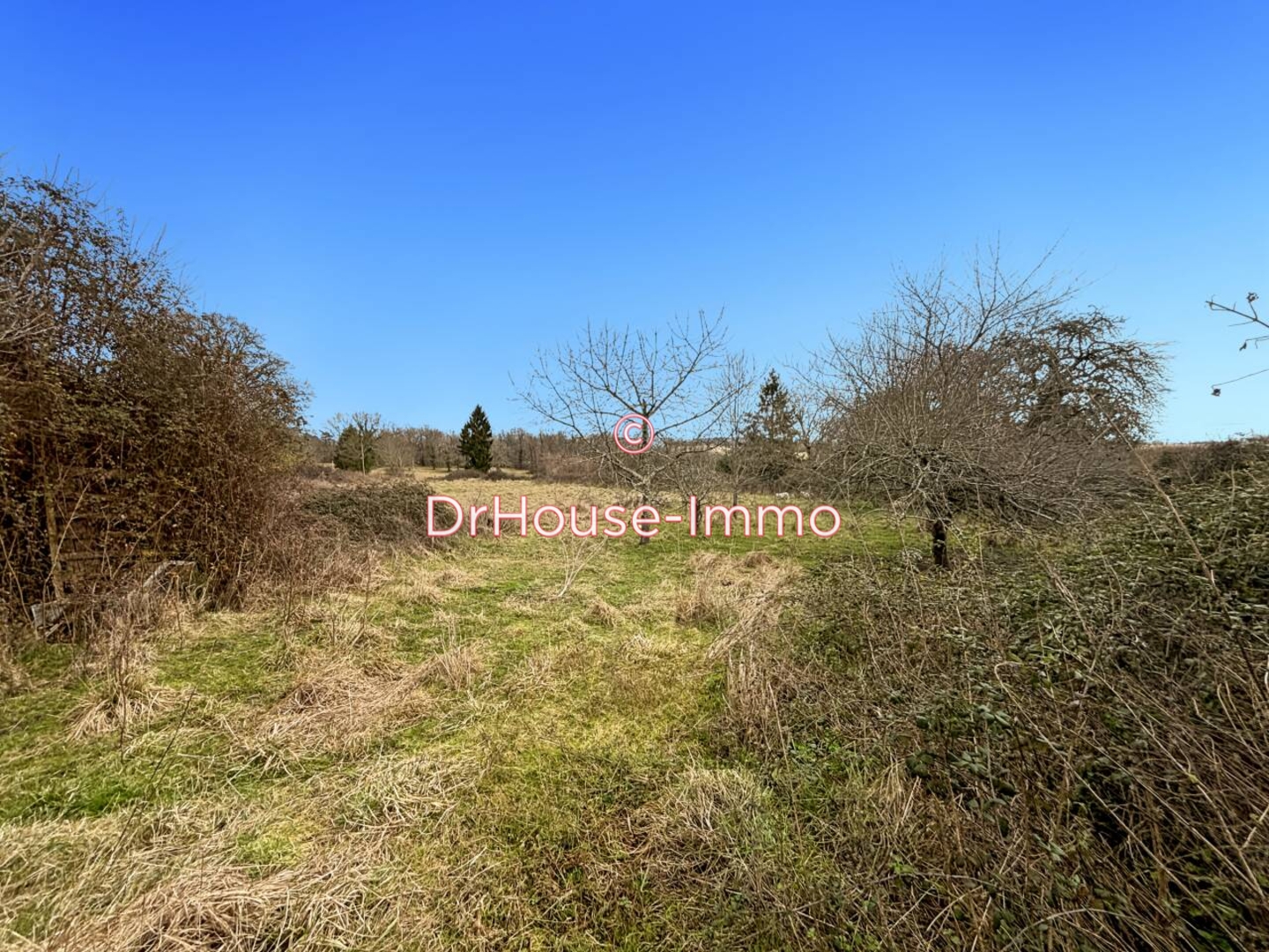 Photo 2 : Vente Maison 5 pièces Chalais 360 m²