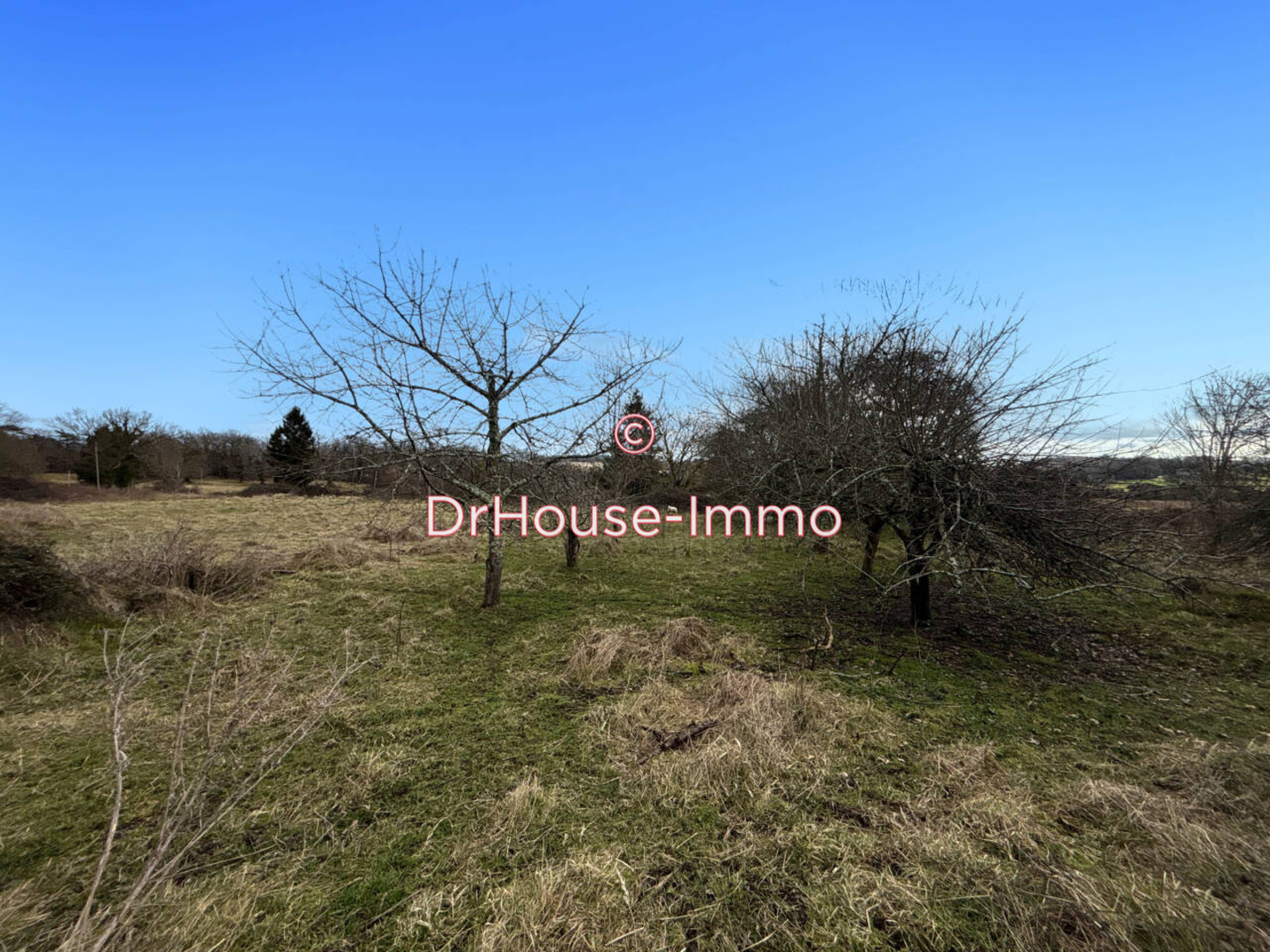 Photo 3 : Vente Maison 5 pièces Chalais 360 m²