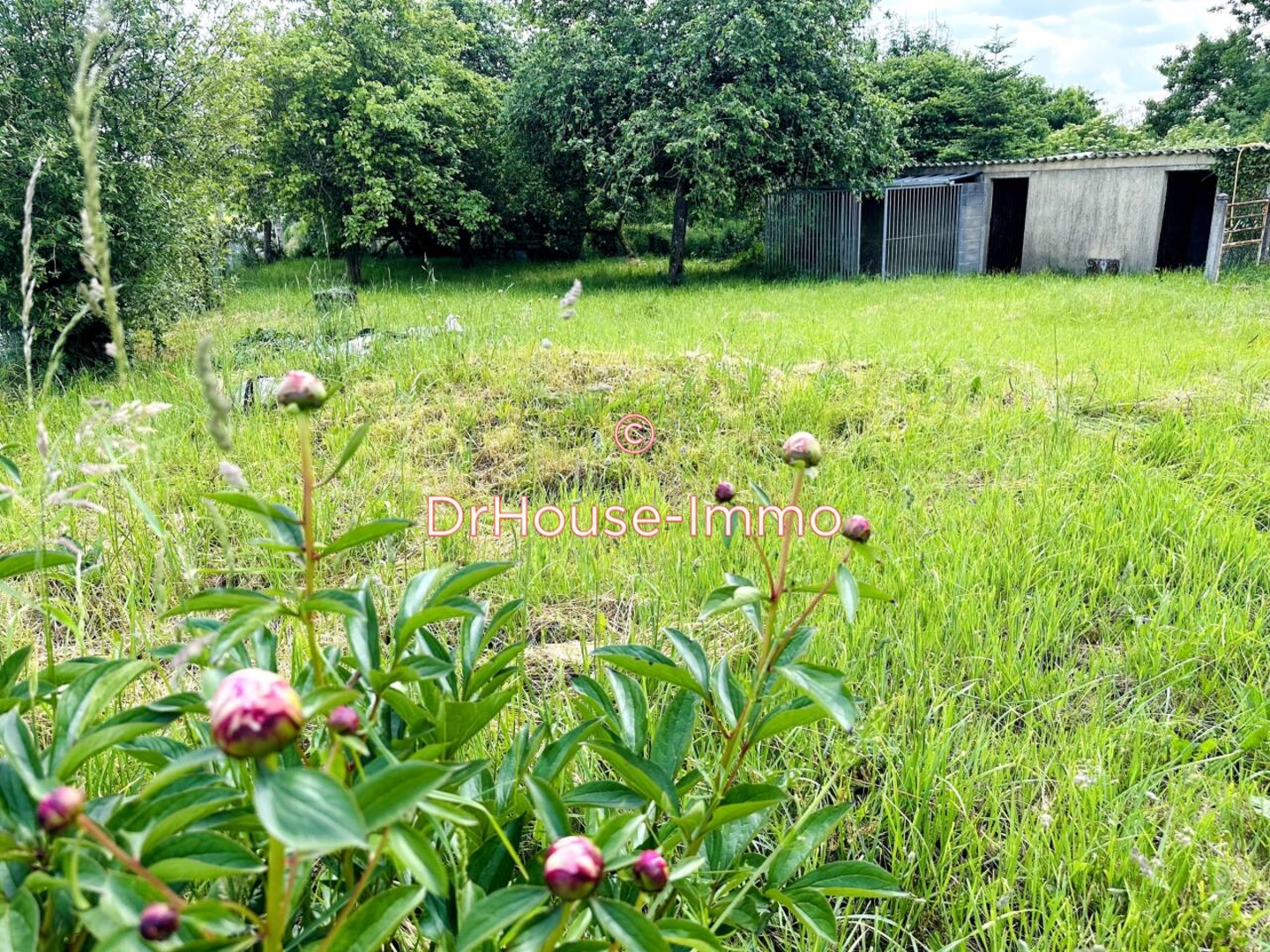Photo 2 : Vente Maison 4 pièces Souleuvre en Bocage 103 m²