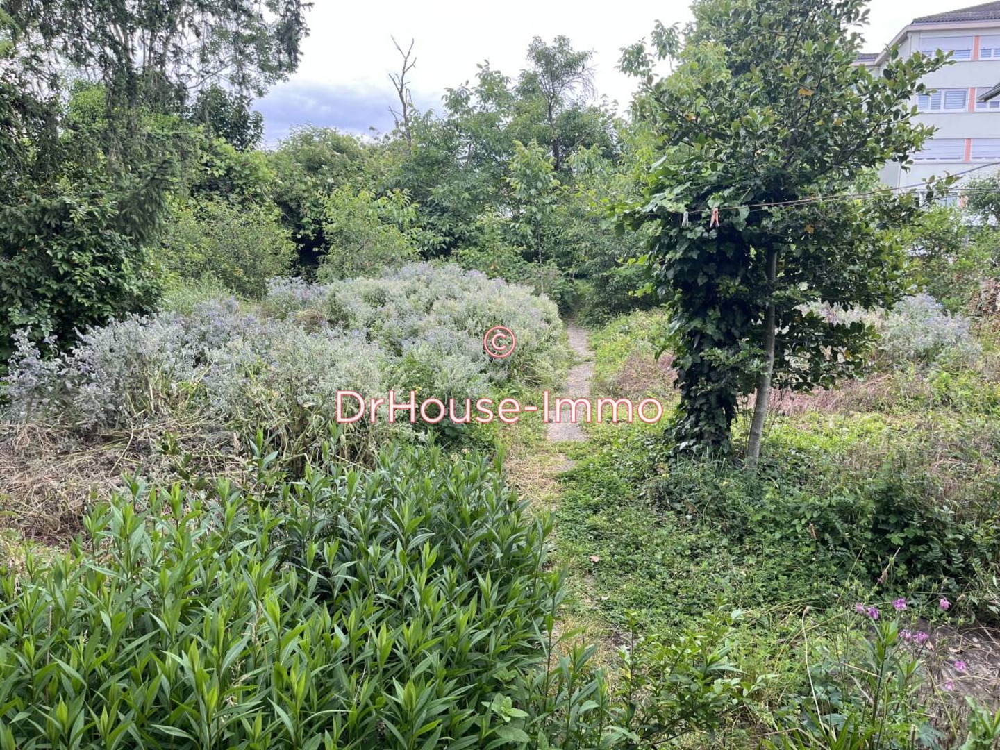 Photo 2 : Vente Terrain Riedisheim 500 m²