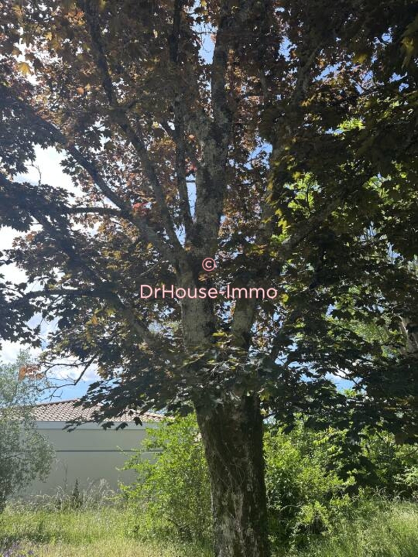Photo 2 : Vente Maison 10 pièces Castelnau-de-Médoc 200 m²