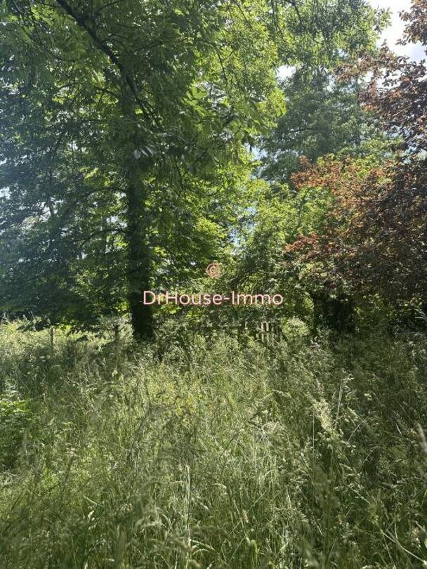 Photo 3 : Vente Maison 10 pièces Castelnau-de-Médoc 200 m²