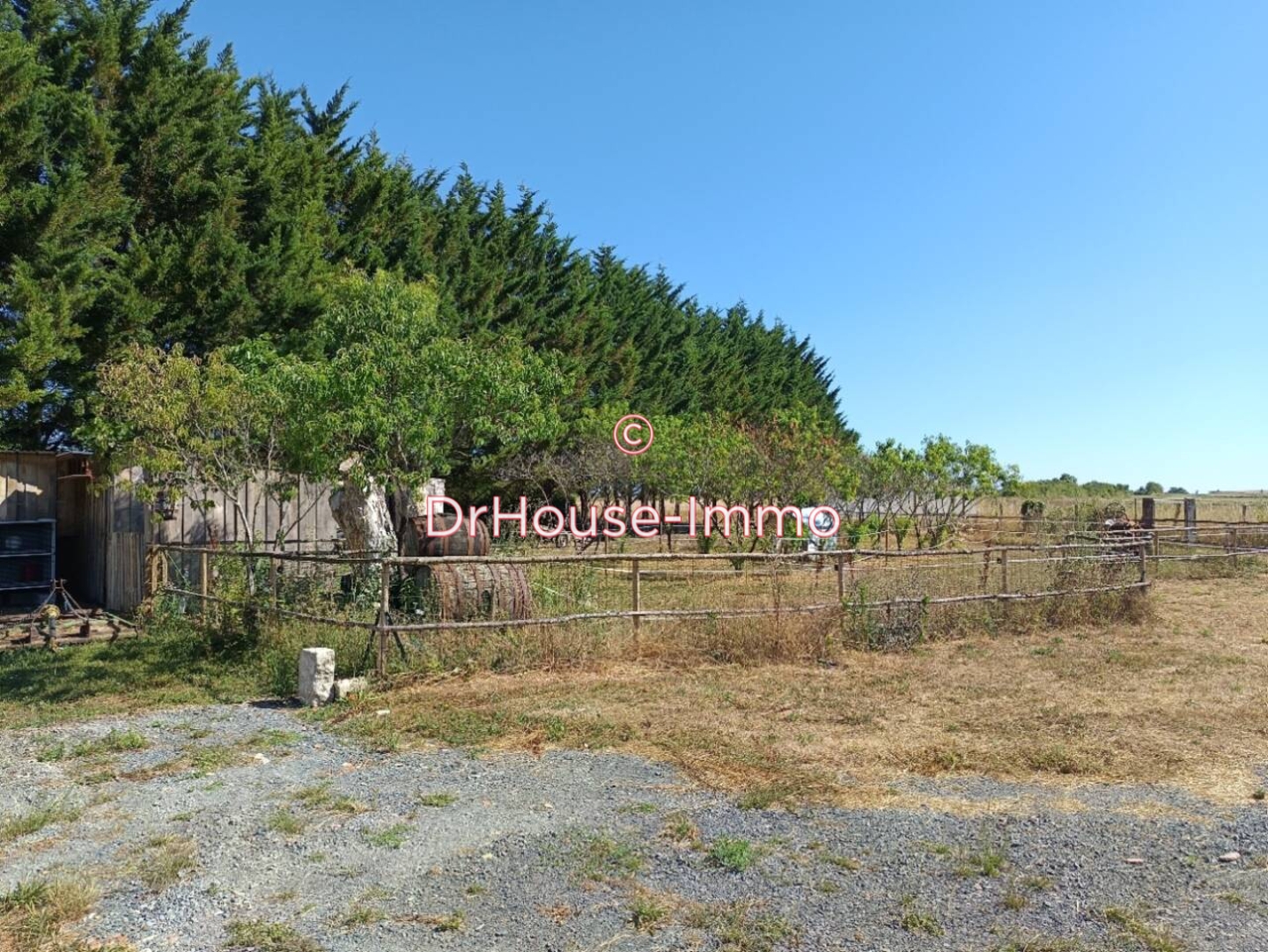 Photo 3 : Vente Terrain Saint-Hilaire-la-Palud 2960 m²