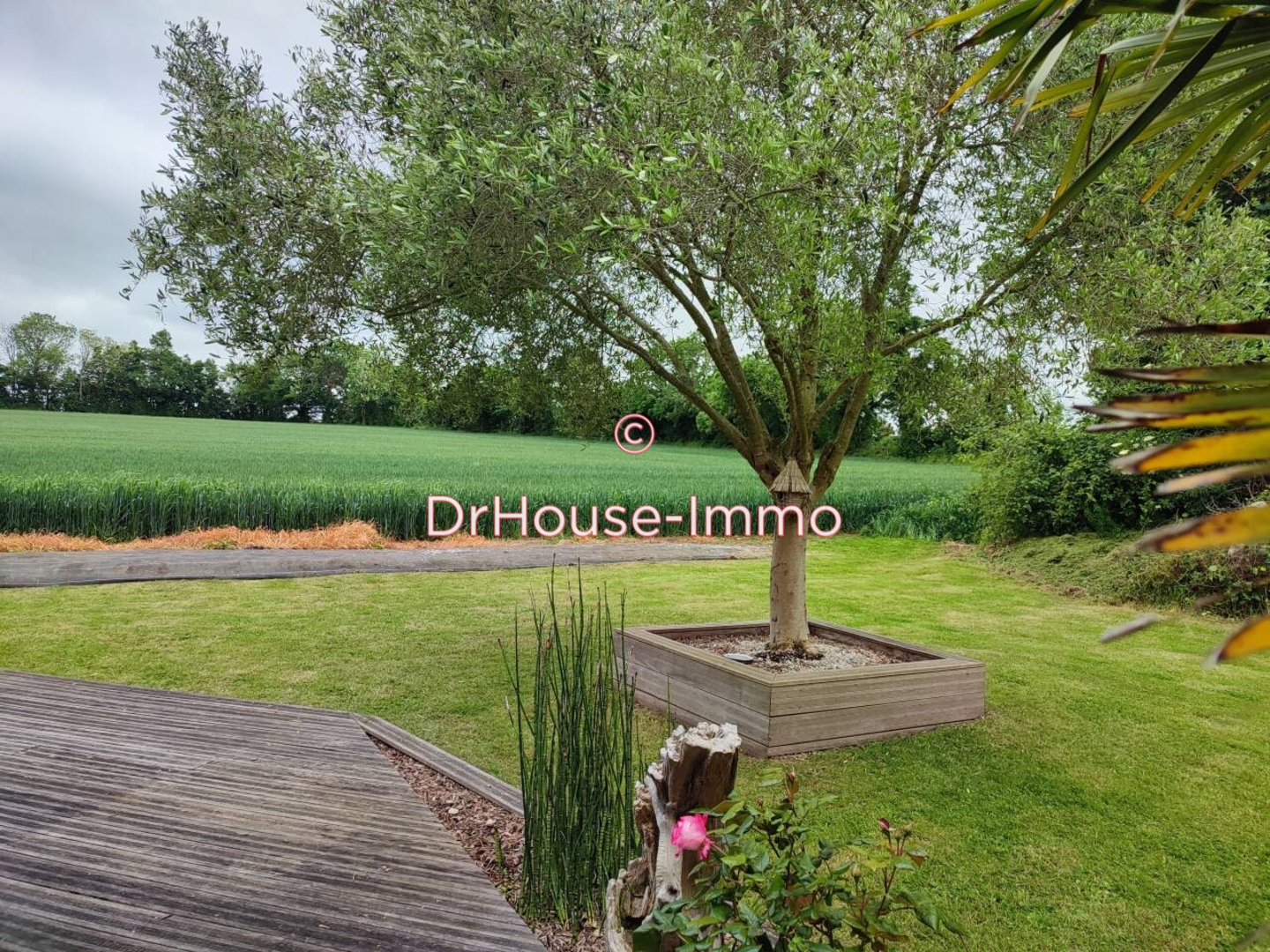 Photo 2 : Vente Maison 6 pièces Rucqueville 176 m²