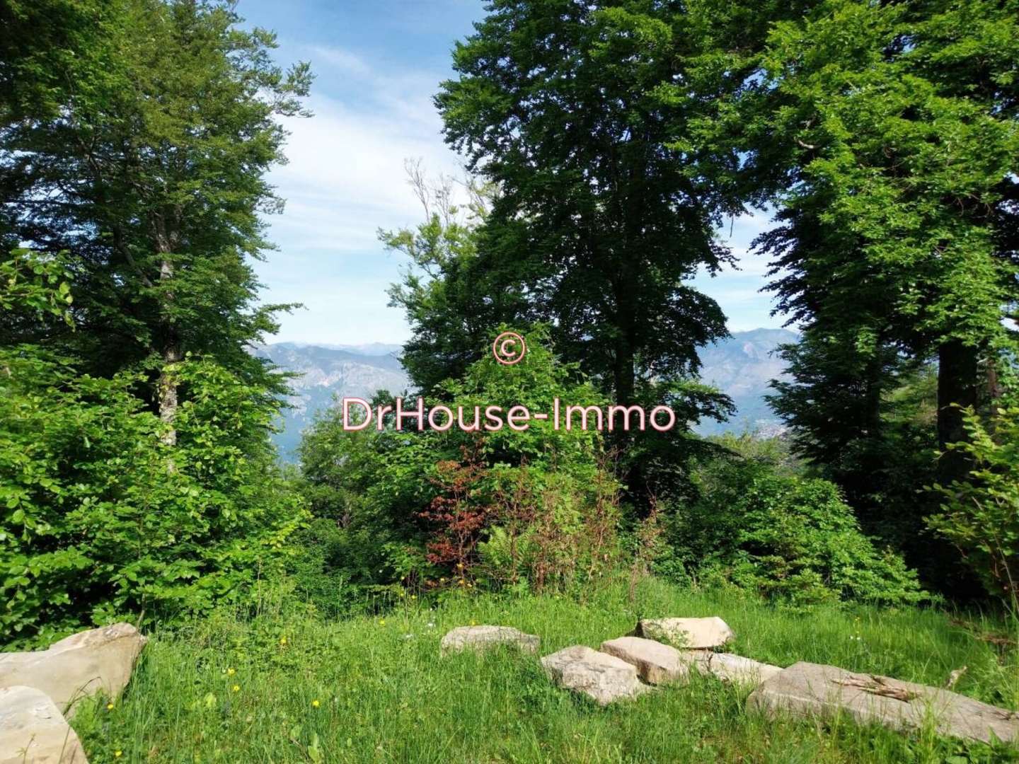 Photo 3 : Vente Terrain Lucéram 1500 m²