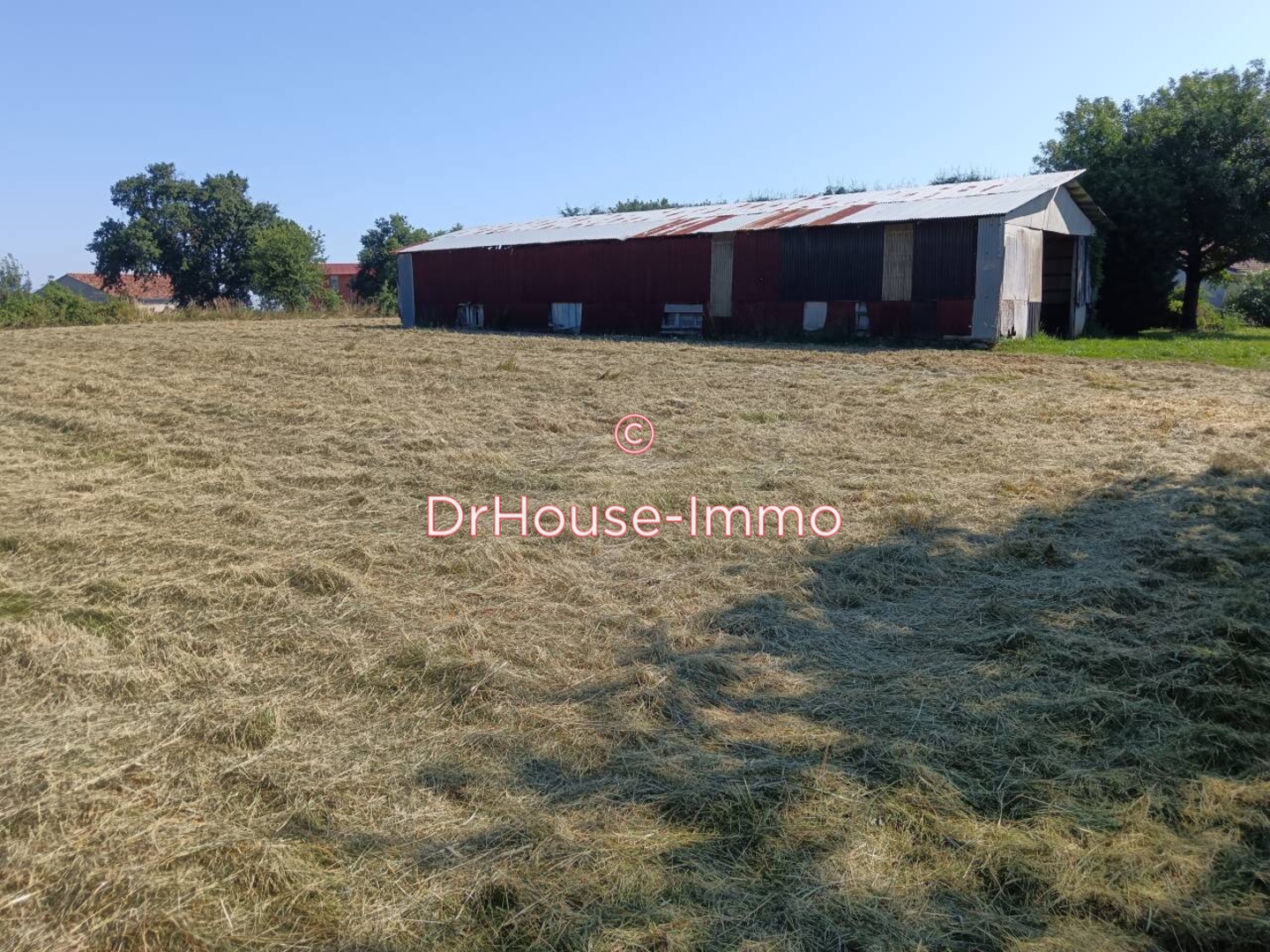Photo 3 : Vente Maison 5 pièces Puch-d'Agenais 144 m²