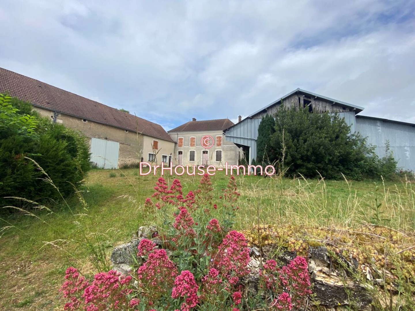 Photo 1 : Vente Maison 5 pièces Taingy 131 m²