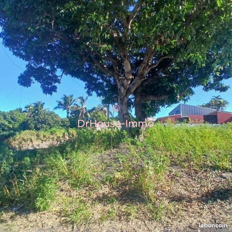 Photo 2 : Vente Terrain Saint-Pierre 327 m²