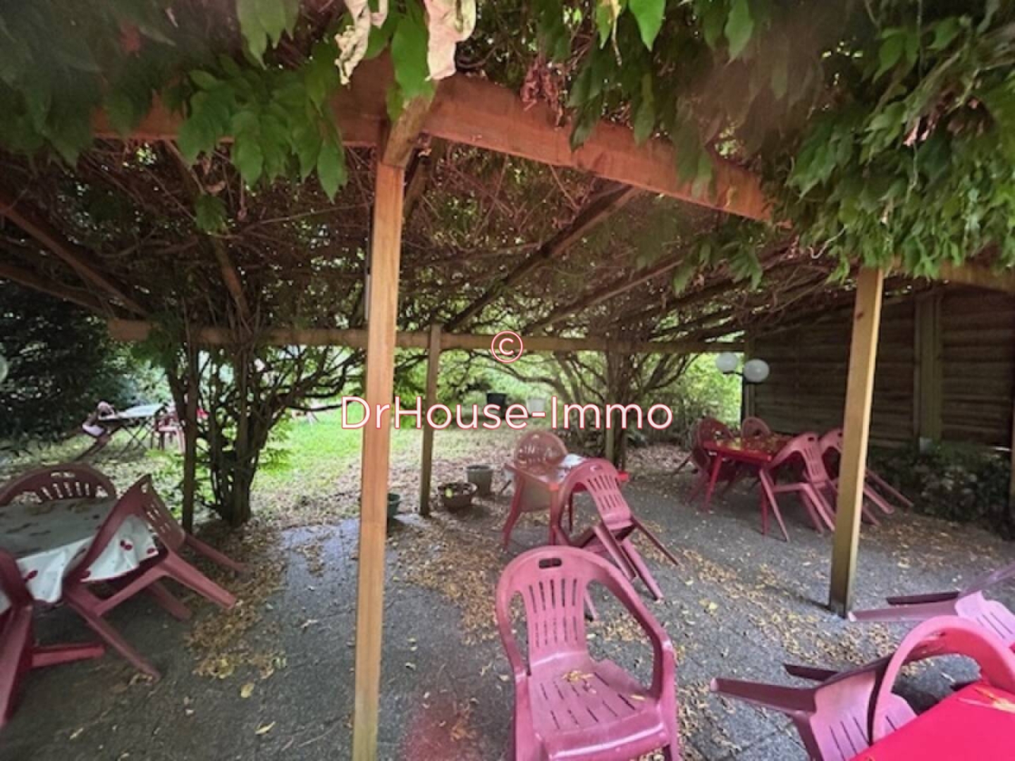 Photo 2 : Vente Commerce 2 pièces Douelle 198 m²
