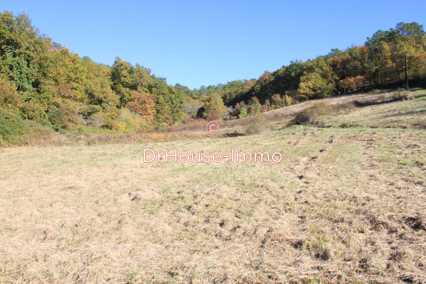 Photo 2 : Vente Terrain Saint-Cernin-de-l'Herm 4690 m²