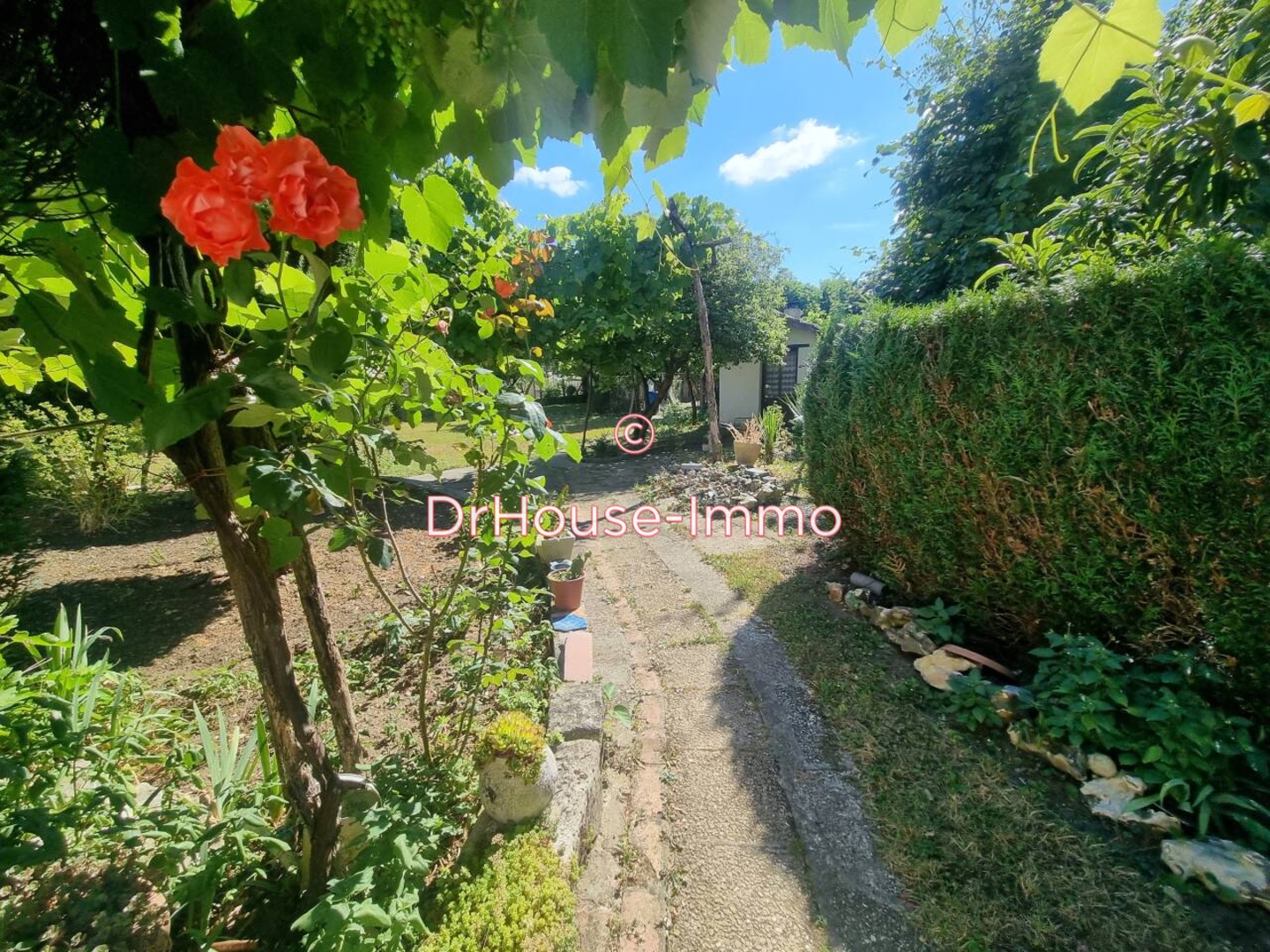 Photo 3 : Vente Maison 5 pièces Fontenay-sur-Loing 90 m²