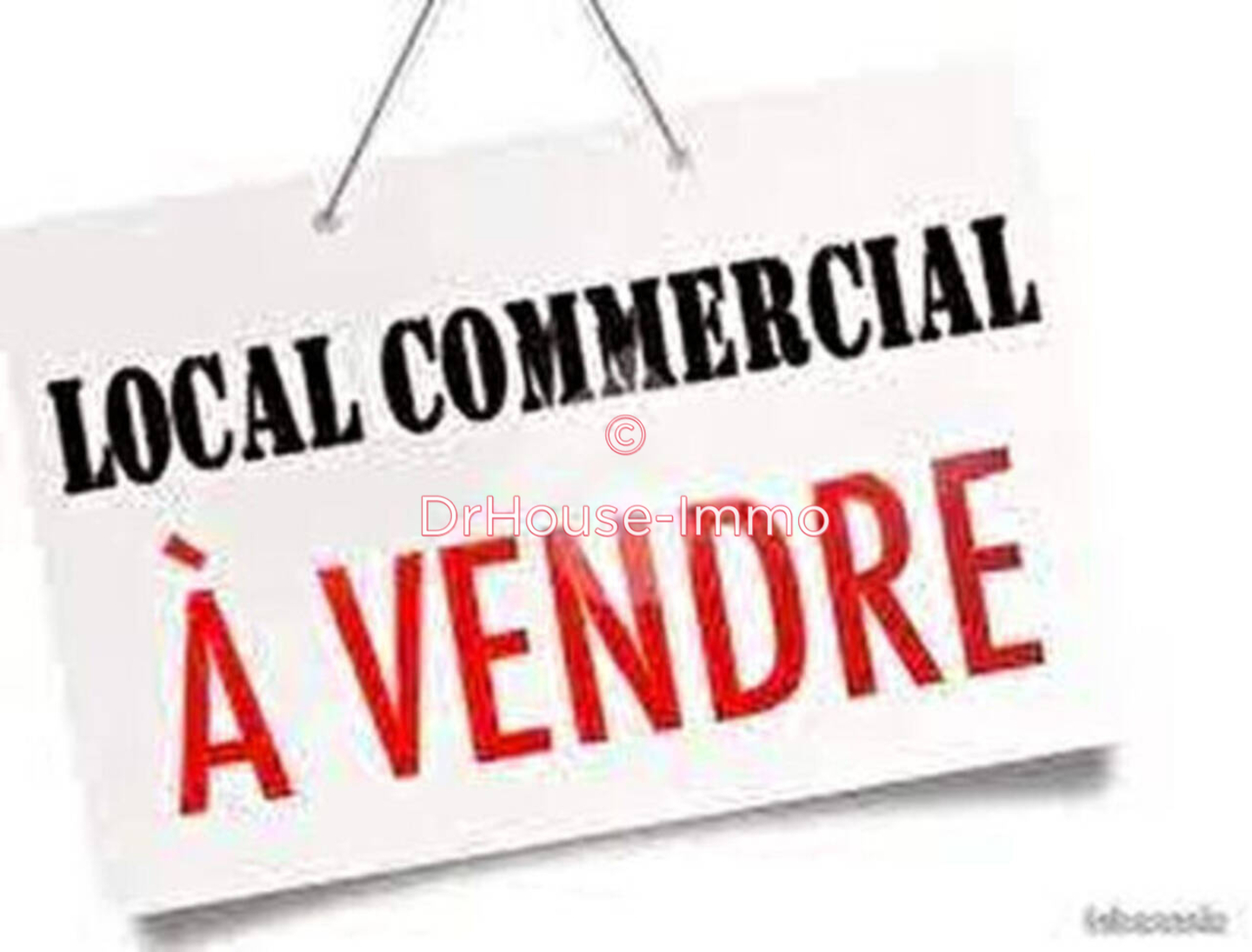 Photo 2 : Vente Autre 5 pièces Langeac 667 m²