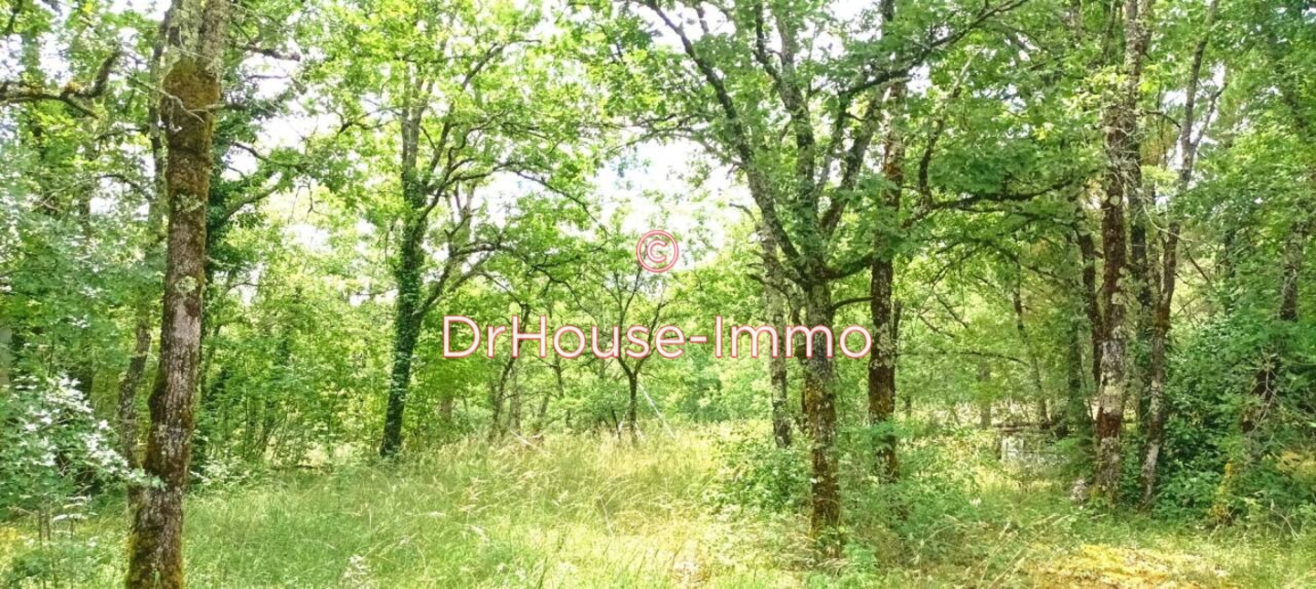 Photo 1 : Vente Terrain Montvalent 10225 m²