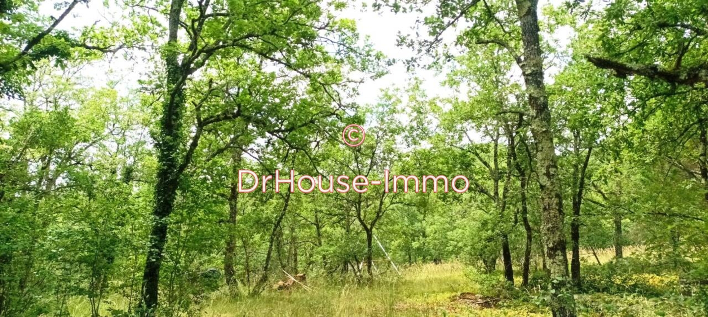 Photo 3 : Vente Terrain Montvalent 10225 m²