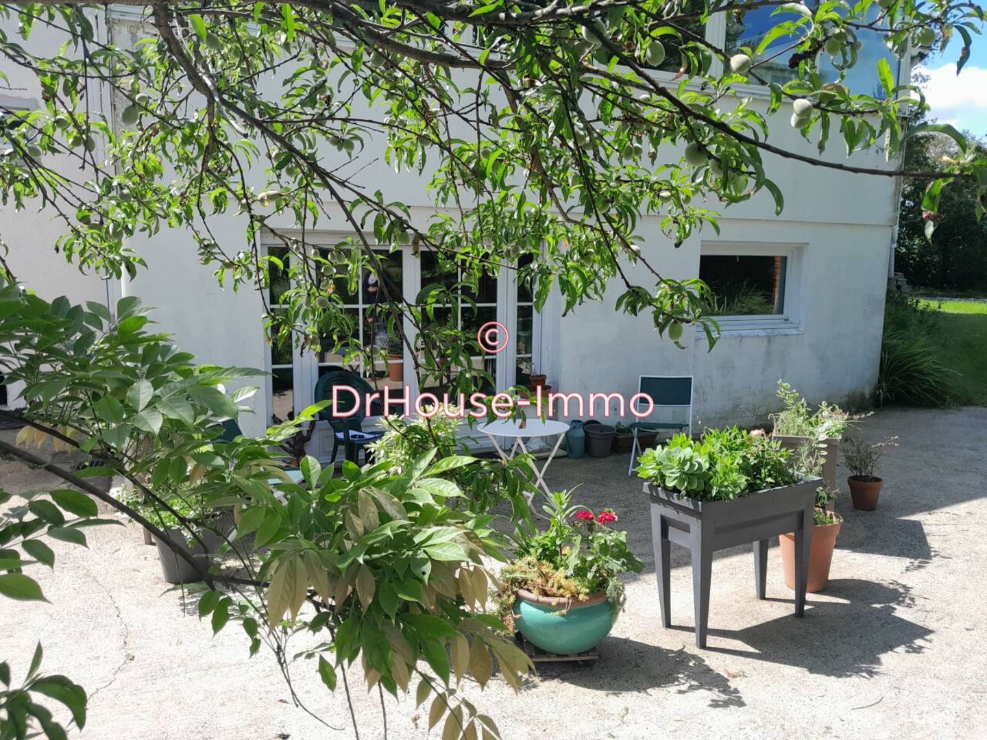 Photo 2 : Vente Maison 9 pièces Montaigu-Vendée 182 m²