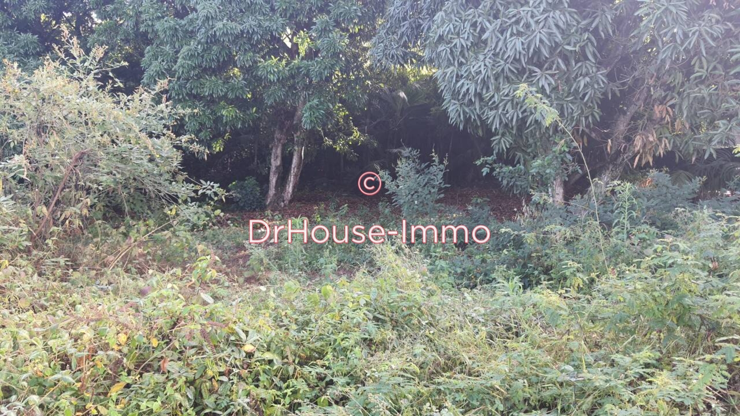 Photo 3 : Vente Terrain Entre-Deux 376 m²