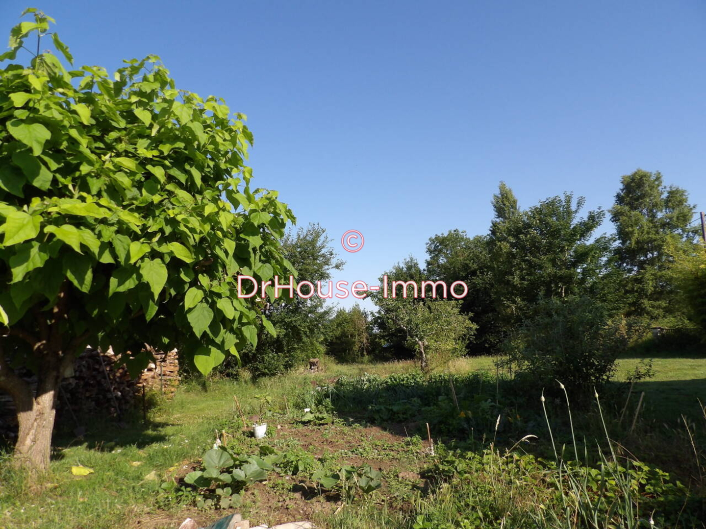 Photo 3 : Vente Maison 7 pièces Levis 220 m²