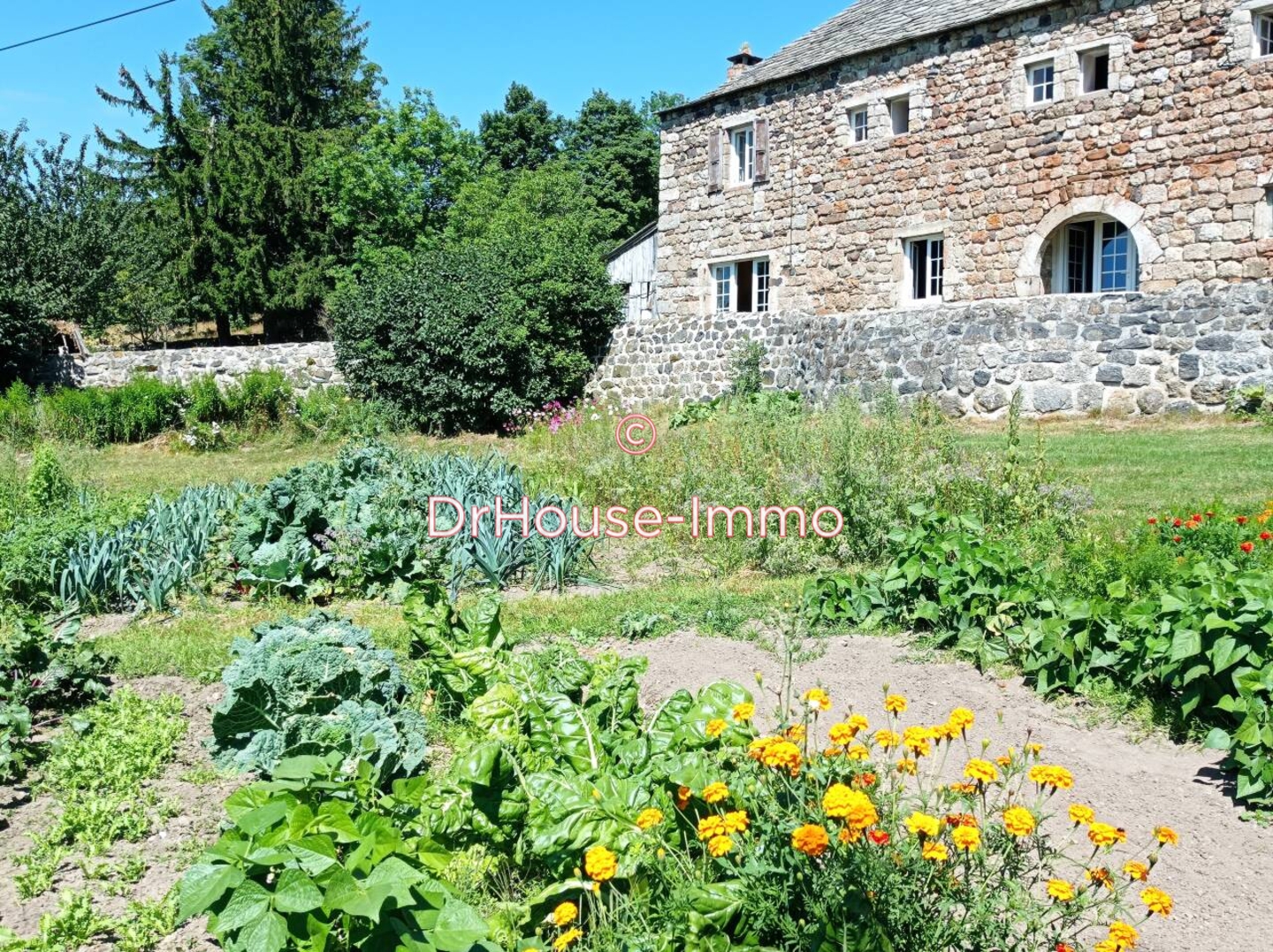 Photo 2 : Vente Maison 8 pièces Présailles 176 m²