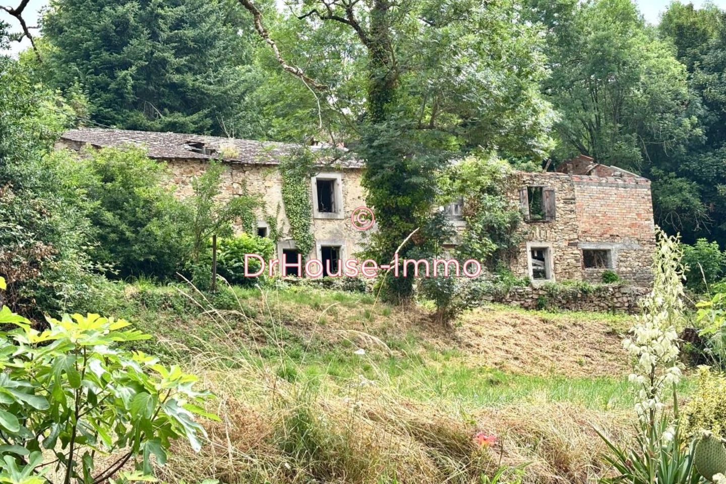 Photo 3 : Vente Maison 8 pièces Fontiers-Cabardès 80 m²
