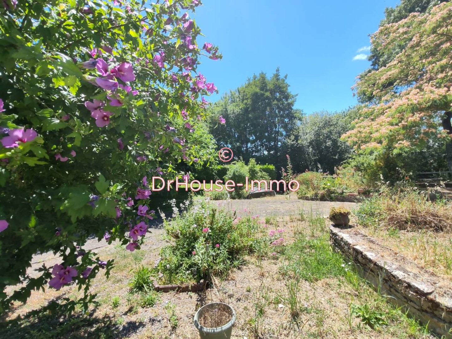 Photo 2 : Vente Maison 5 pièces La Taillée 164 m²