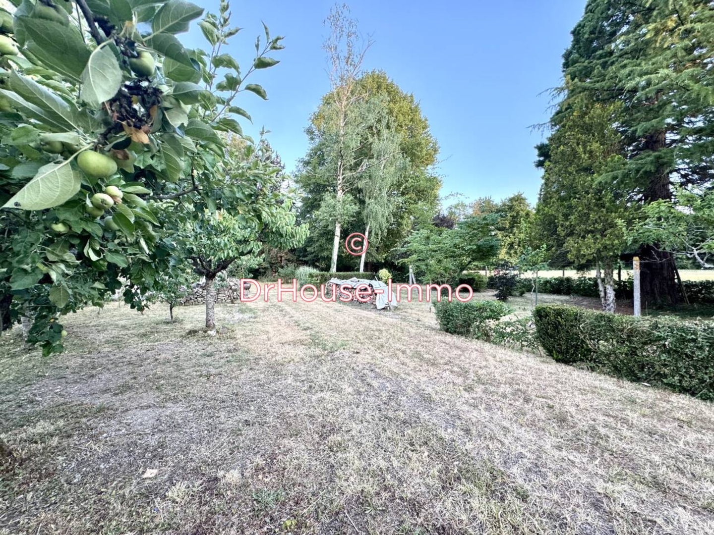 Photo 3 : Vente Maison 5 pièces Corquilleroy 83 m²
