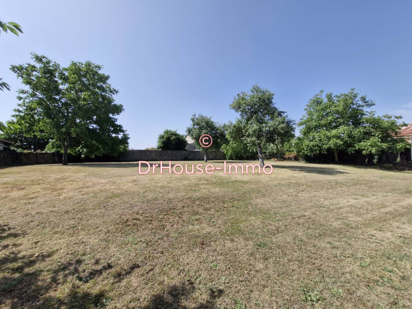 Photo 1 : Vente Terrain Sainte-Néomaye 1587 m²