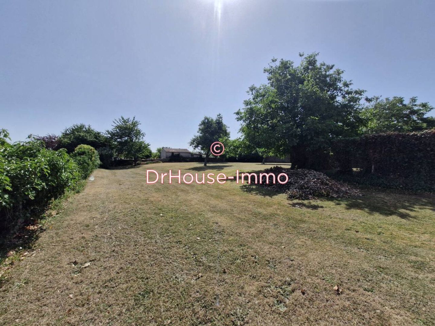 Photo 2 : Vente Terrain Sainte-Néomaye 1587 m²