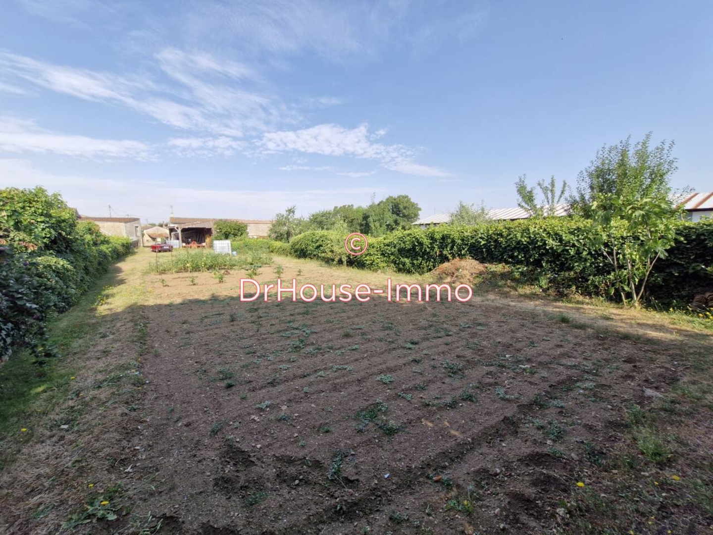 Photo 1 : Vente Terrain Sainte-Néomaye 603 m²