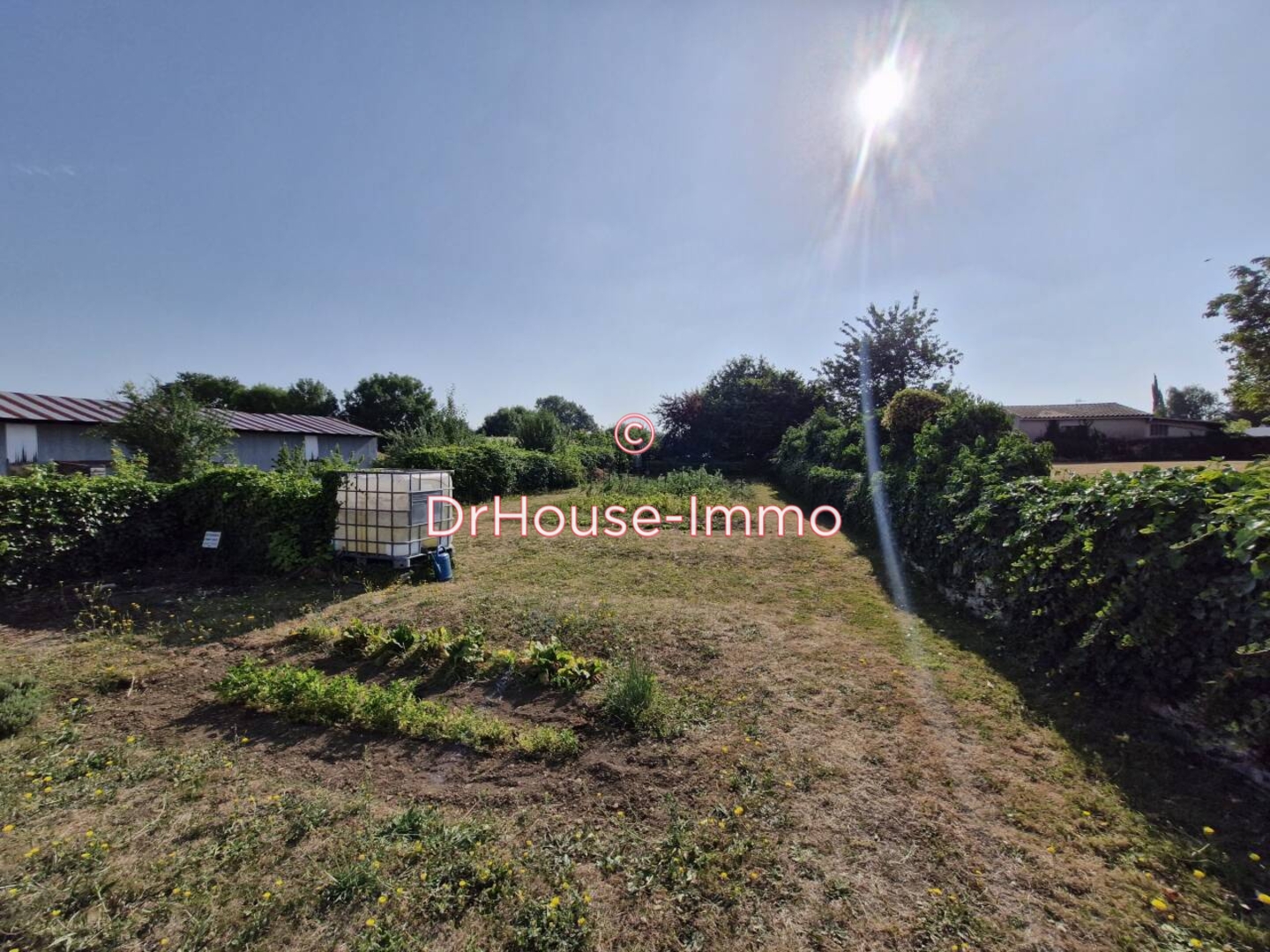 Photo 2 : Vente Terrain Sainte-Néomaye 603 m²
