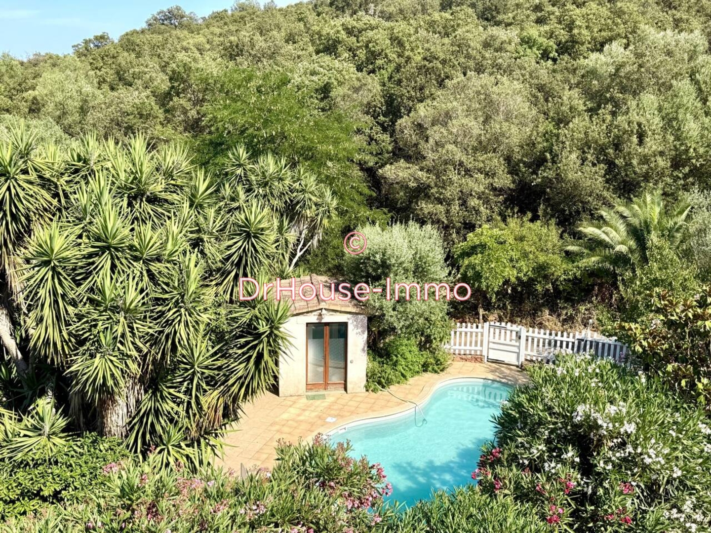 Photo 3 : Vente Maison 6 pièces Porto-Vecchio 174 m²