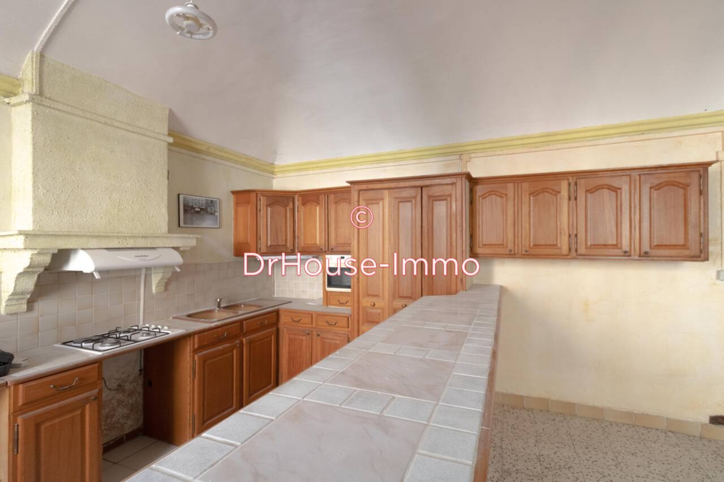 Photo 1 : Vente Immeuble 25 pièces Saint-Ambroix 450 m²