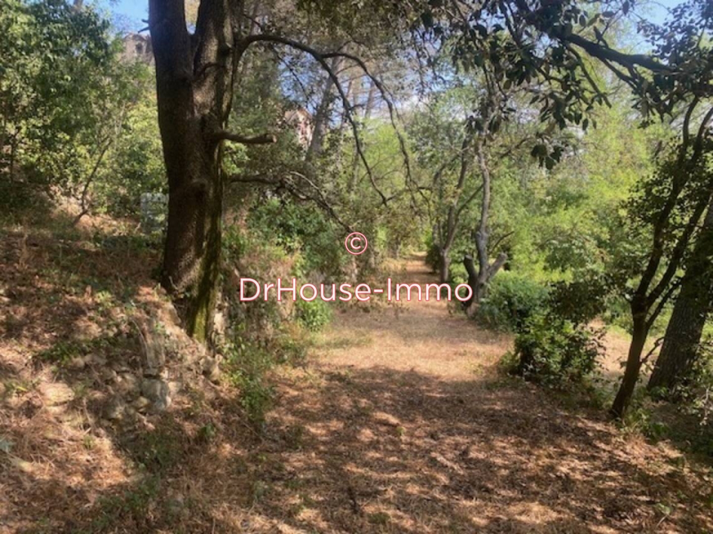Photo 2 : Vente Maison 10 pièces Marseille 190 m²