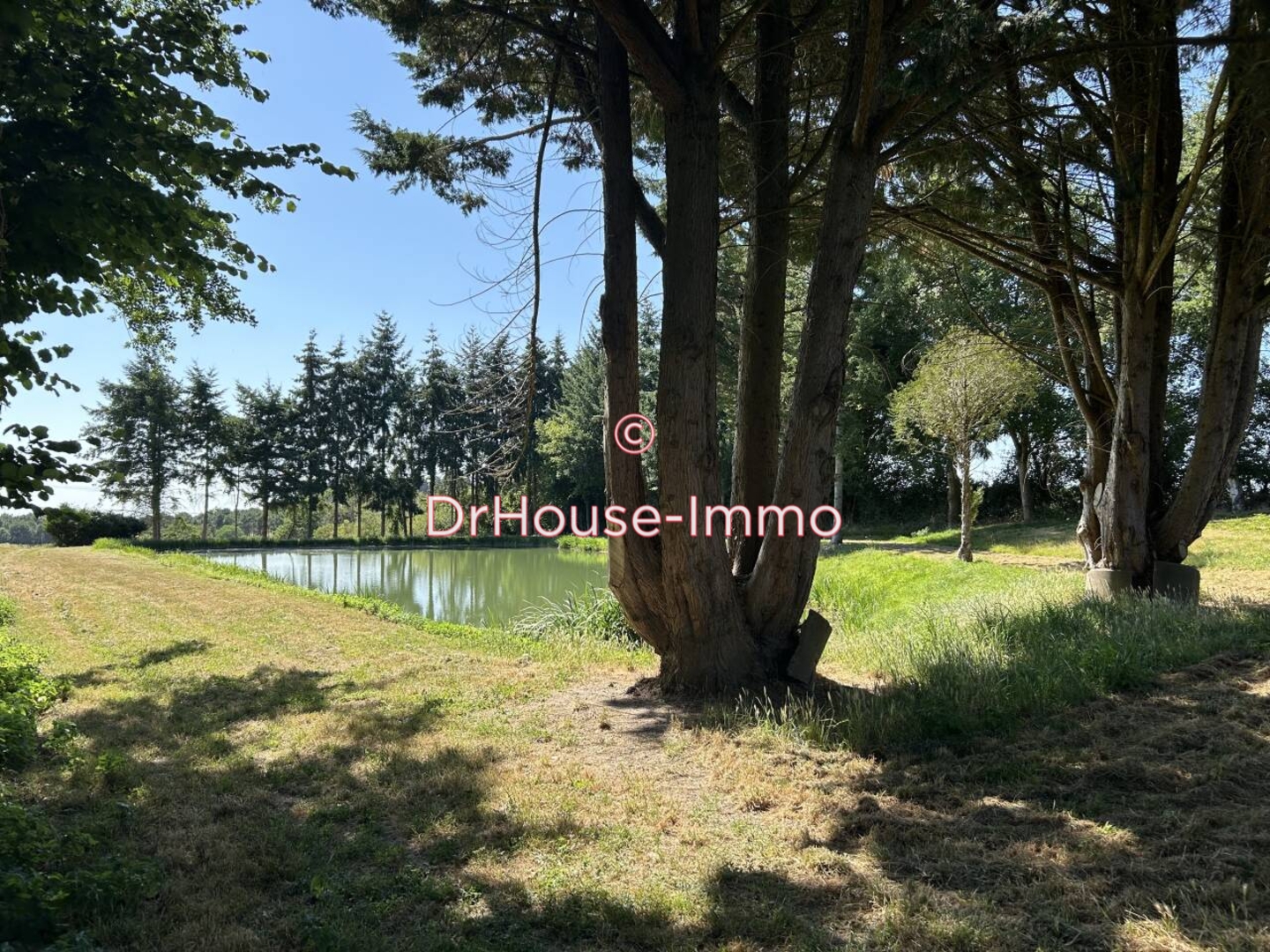 Photo 2 : Vente Maison 4 pièces Écommoy 89 m²