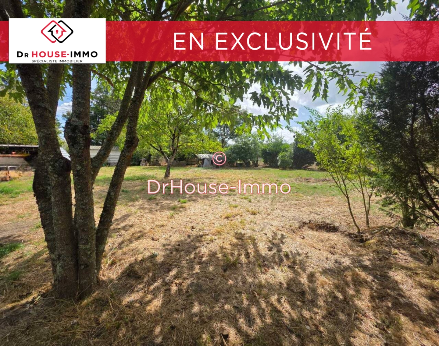 Image des la section Servies