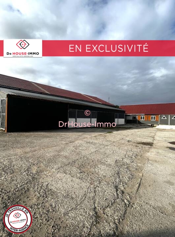 Photo 3 : Vente Immeuble mixte 8 pièces Hondschoote 184 m²