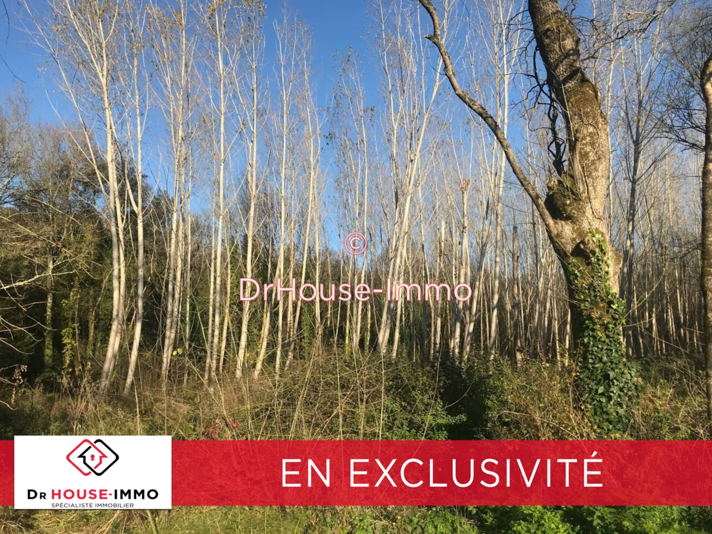 Photo 2 : Vente Terrain Cubzac-les-Ponts 12000 m²