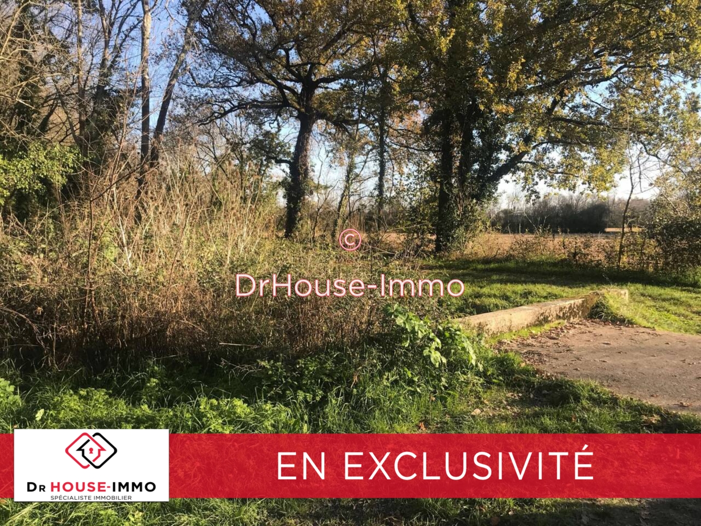 Photo 1 : Vente Terrain Cubzac-les-Ponts 12000 m²