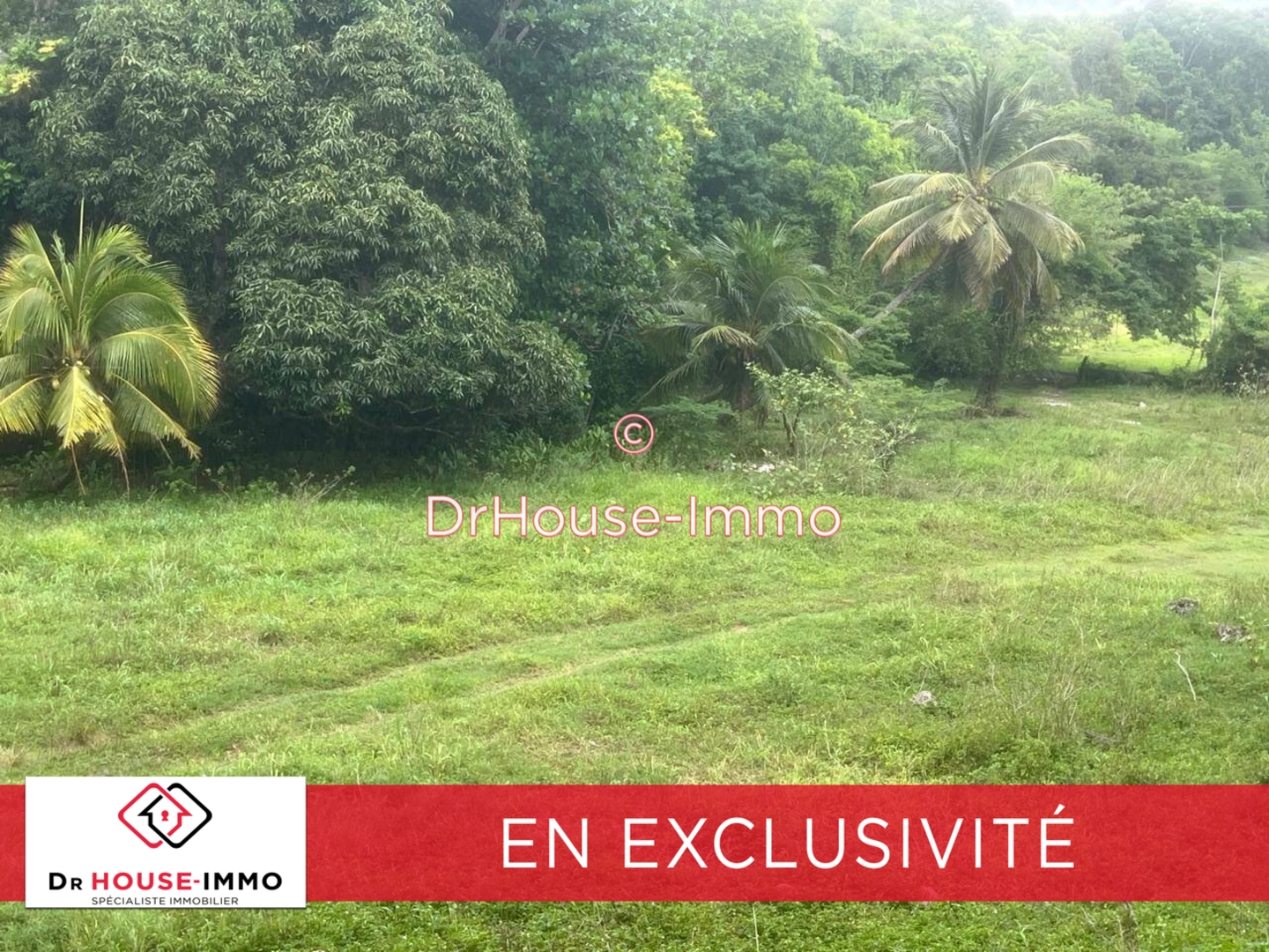 Photo 2 : Vente Terrain Gosier 700 m²