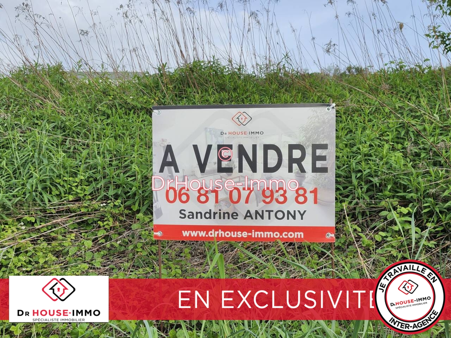 Photo 1 : Vente Terrain Zillisheim