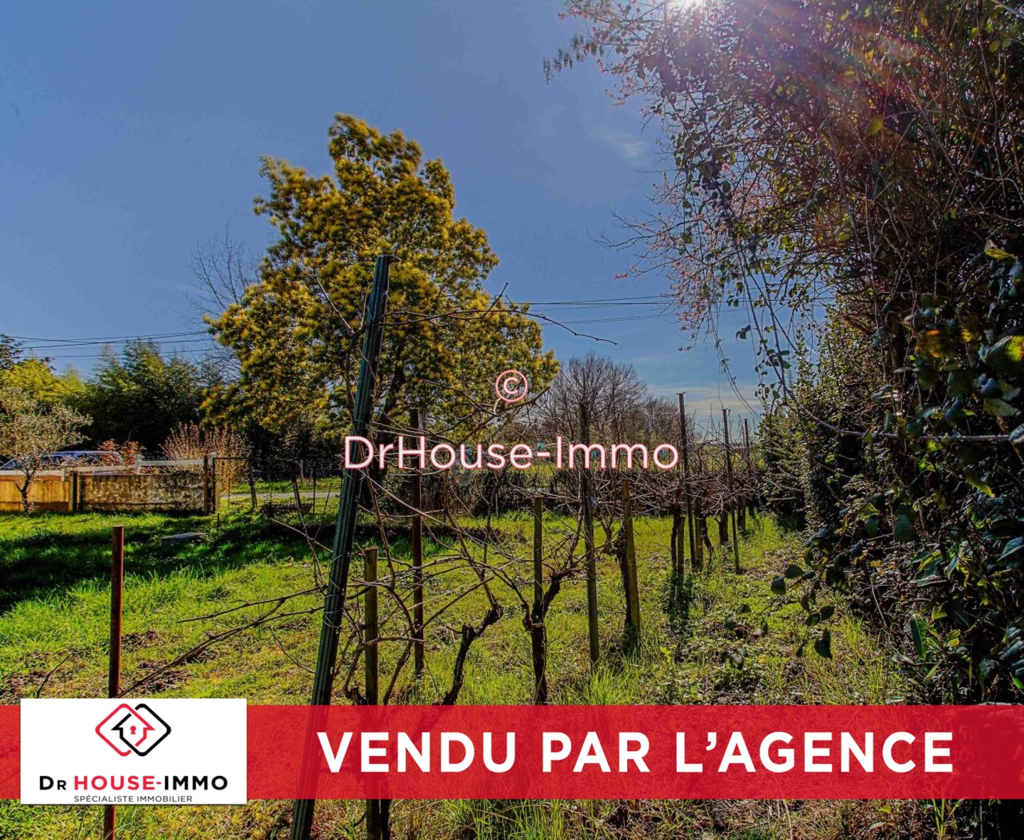 Photo 3 : Vente Terrain Tresses 461 m²