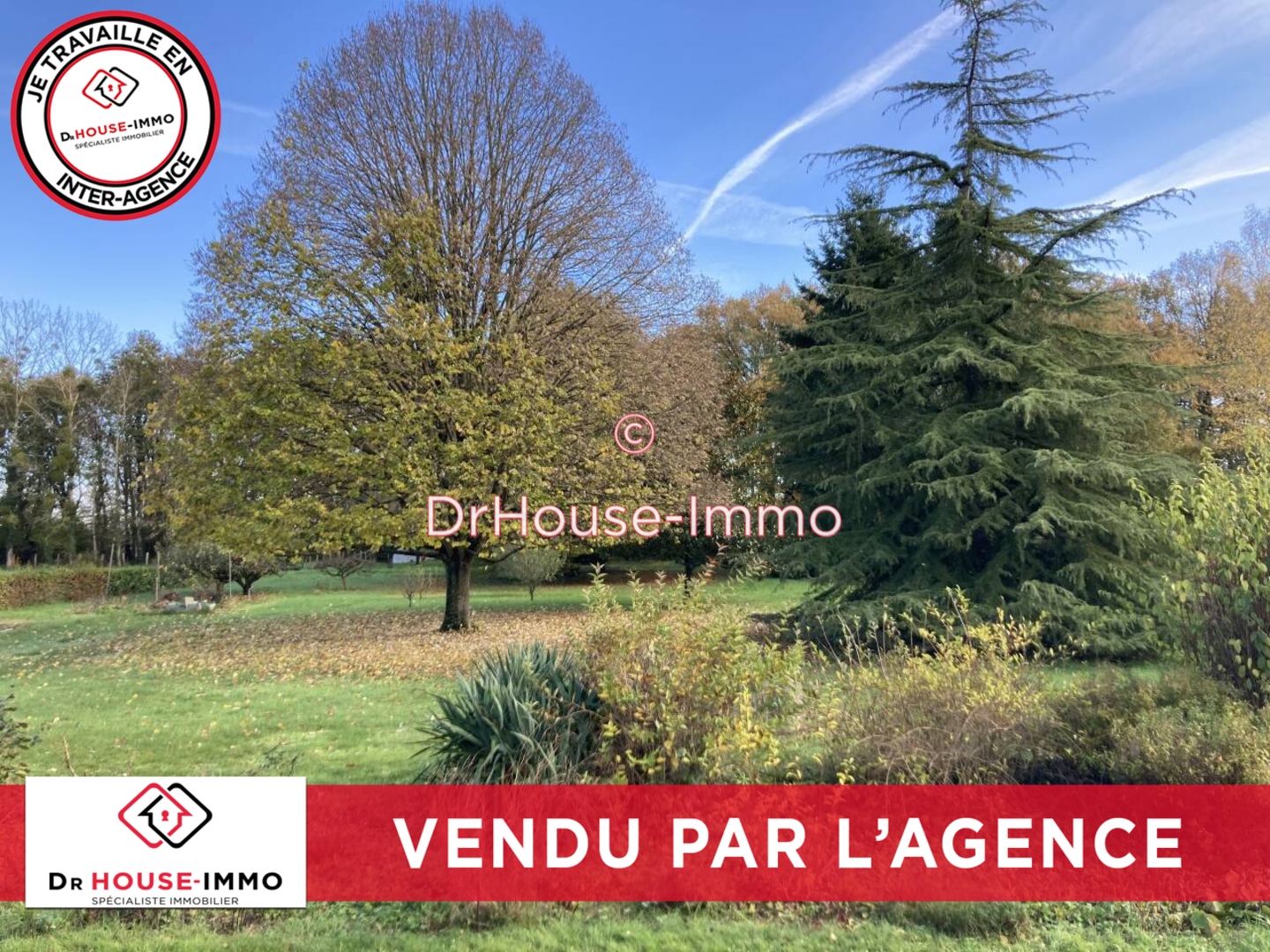 Photo 3 : Vente Maison 6 pièces Savigné-sur-Lathan 114 m²