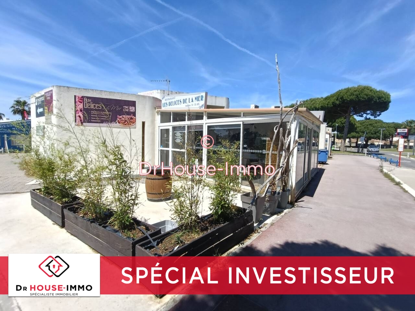 Photo 2 : Vente Commerce Le Grau-du-Roi 96 m²