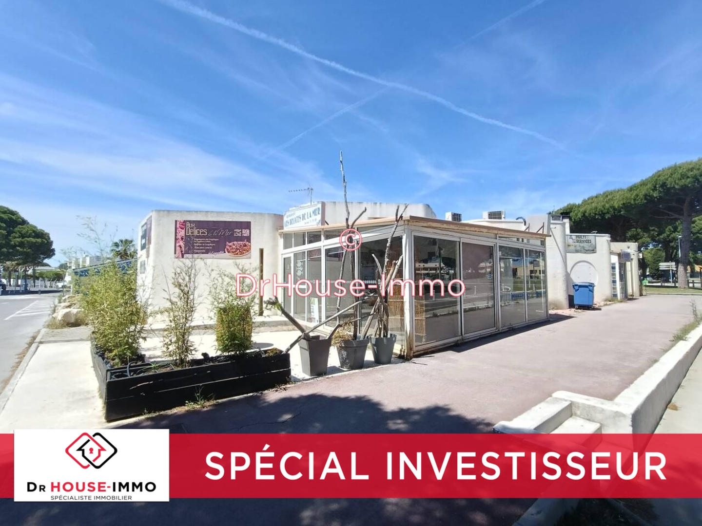 Photo 3 : Vente Commerce Le Grau-du-Roi 96 m²