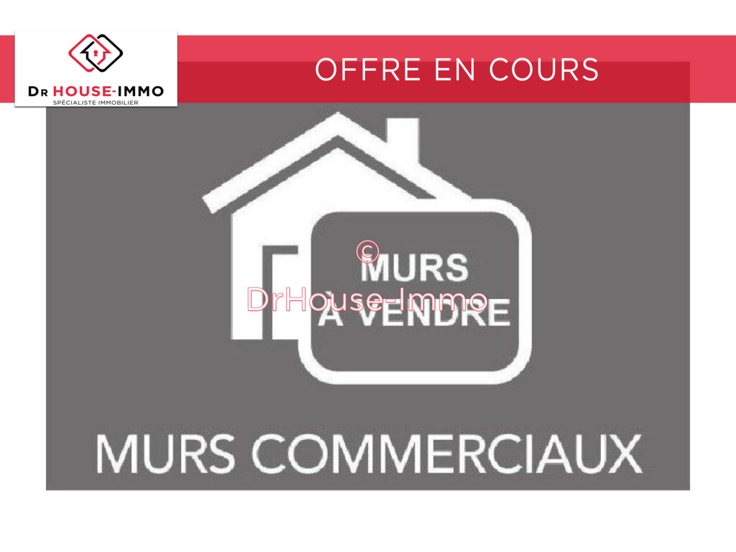 Photo 1 : Vente Commerce 3 pièces Cussac-sur-Loire 600 m²
